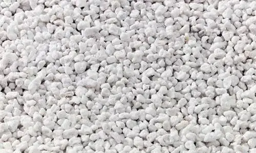 Perlite for moisture control