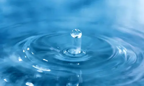 Water for cell elongation