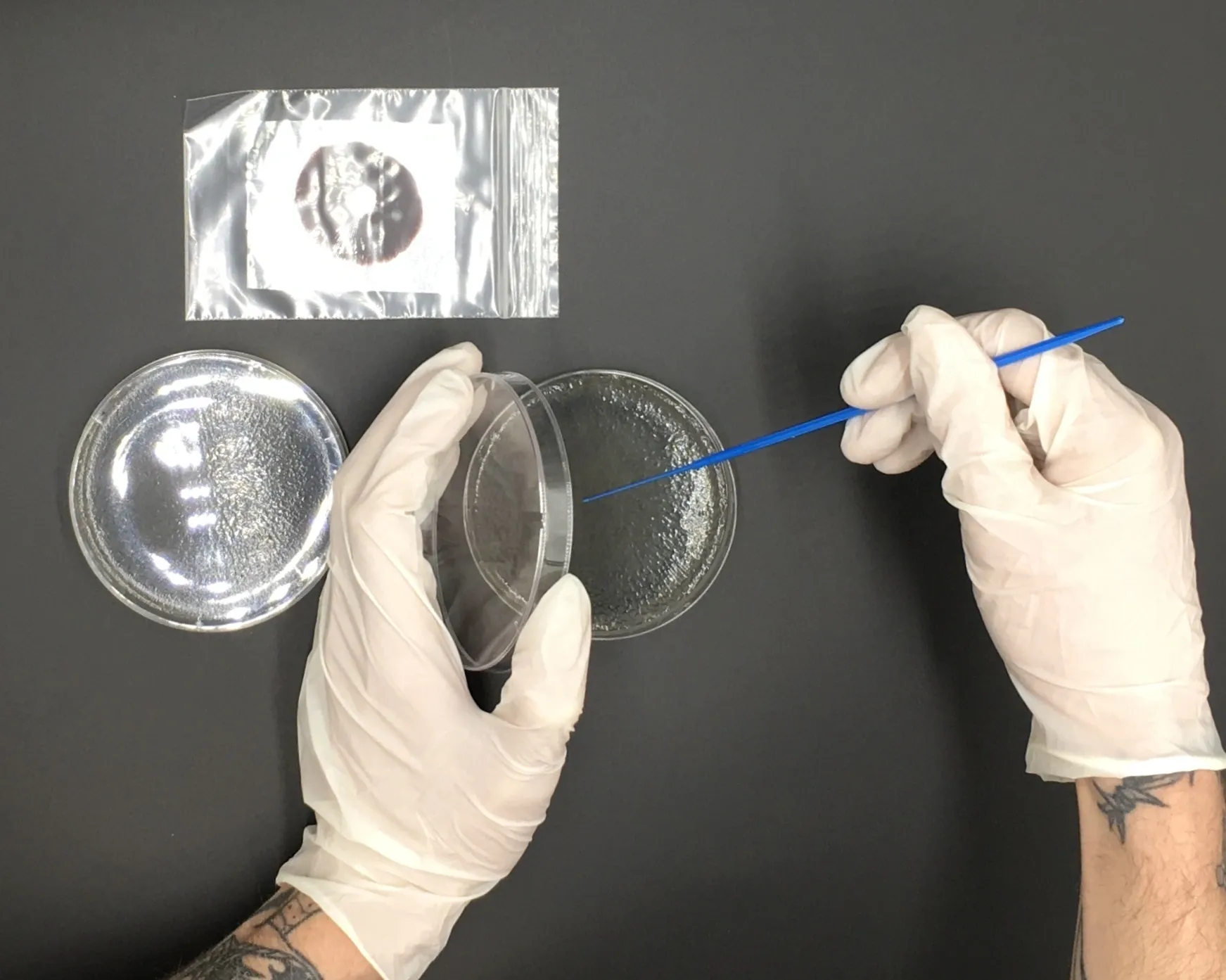 205_original 205_original