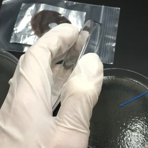 206_original 206_original