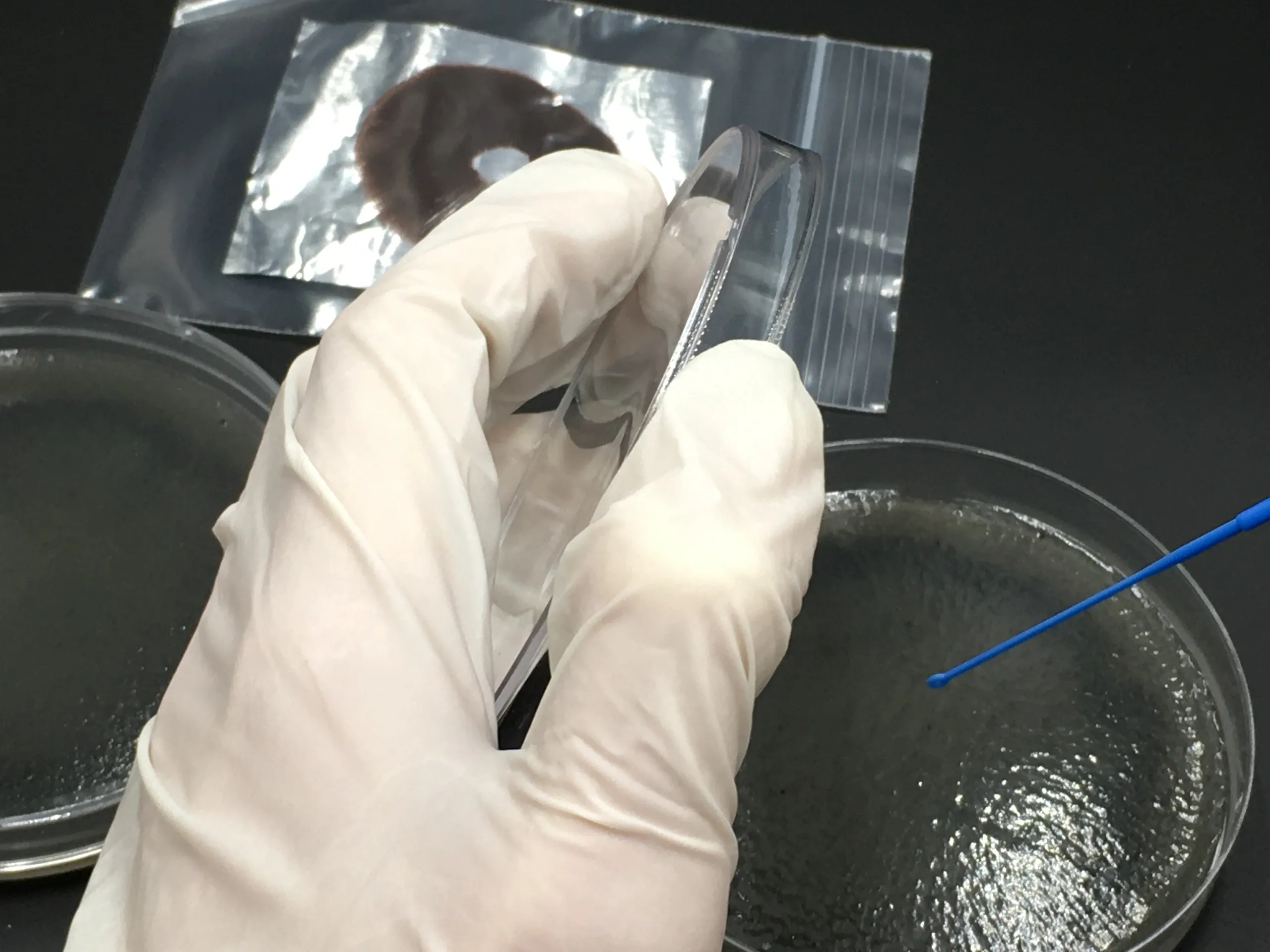 206_original 206_original