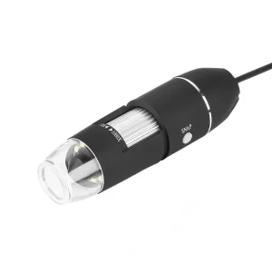 21_original 21_original