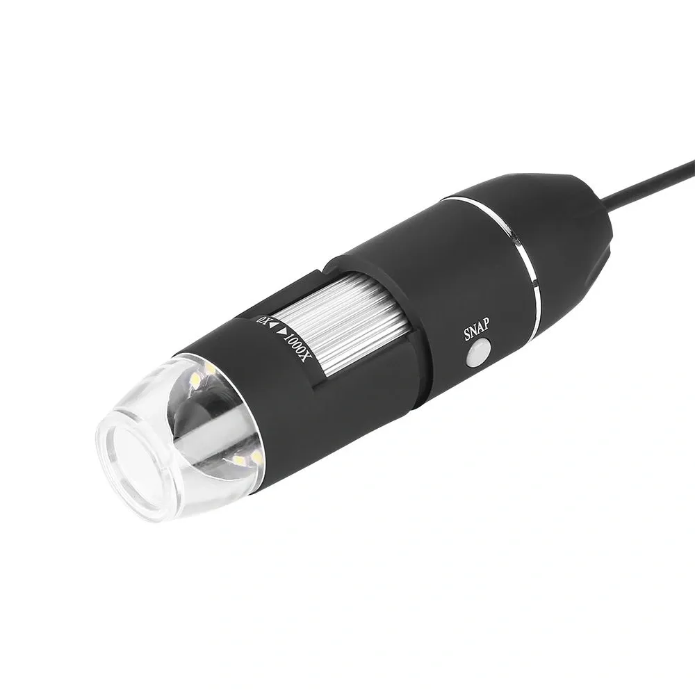 21_original 21_original