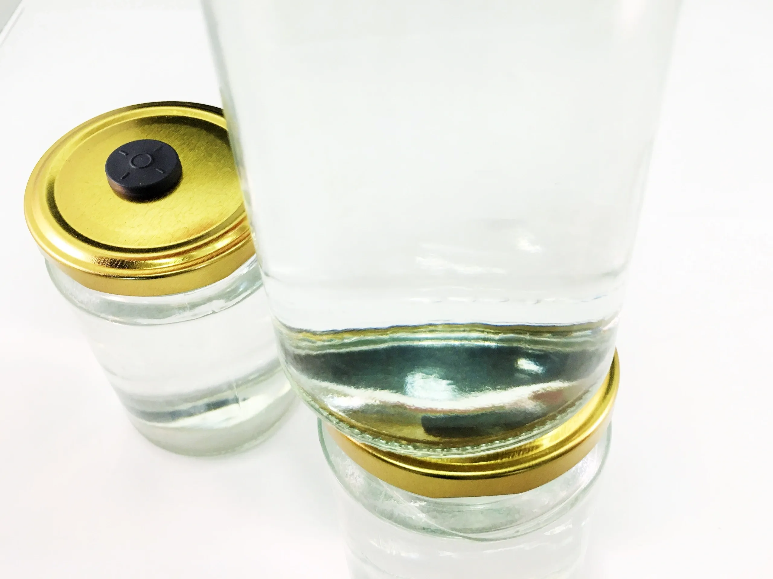 spore_buddies spore_buddies