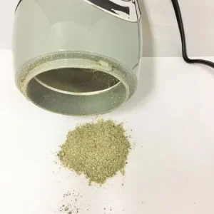 spore buddies spore buddies