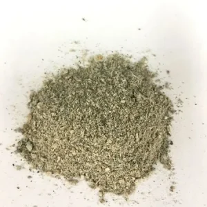 spore buddies spore buddies