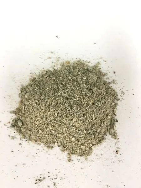 spore buddies spore buddies