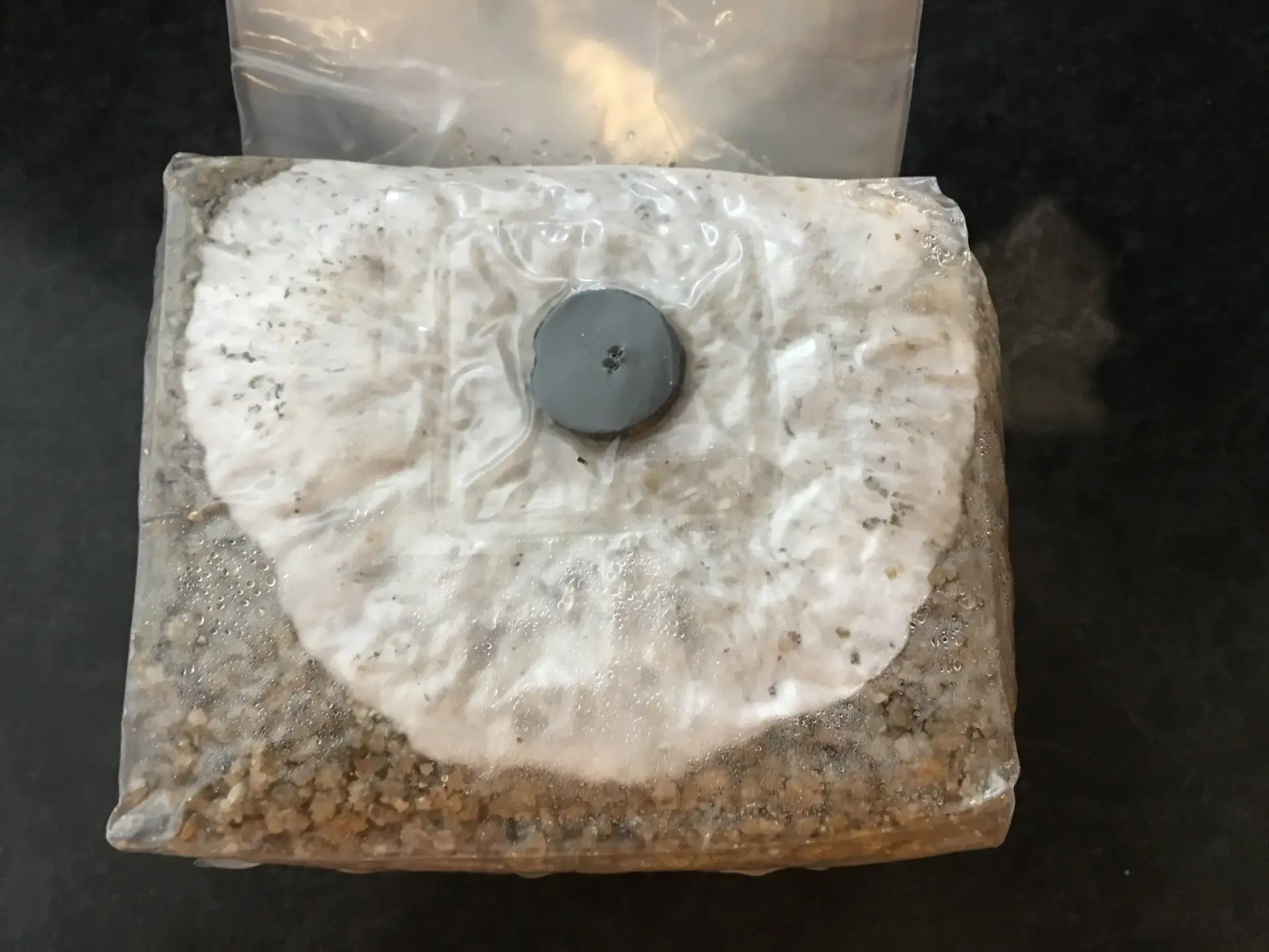 Brown rice flour bag. Mushroom Substrate, Pf Tek BRF Brown rice flour bag. Mushroom Substrate, Pf Tek BRF