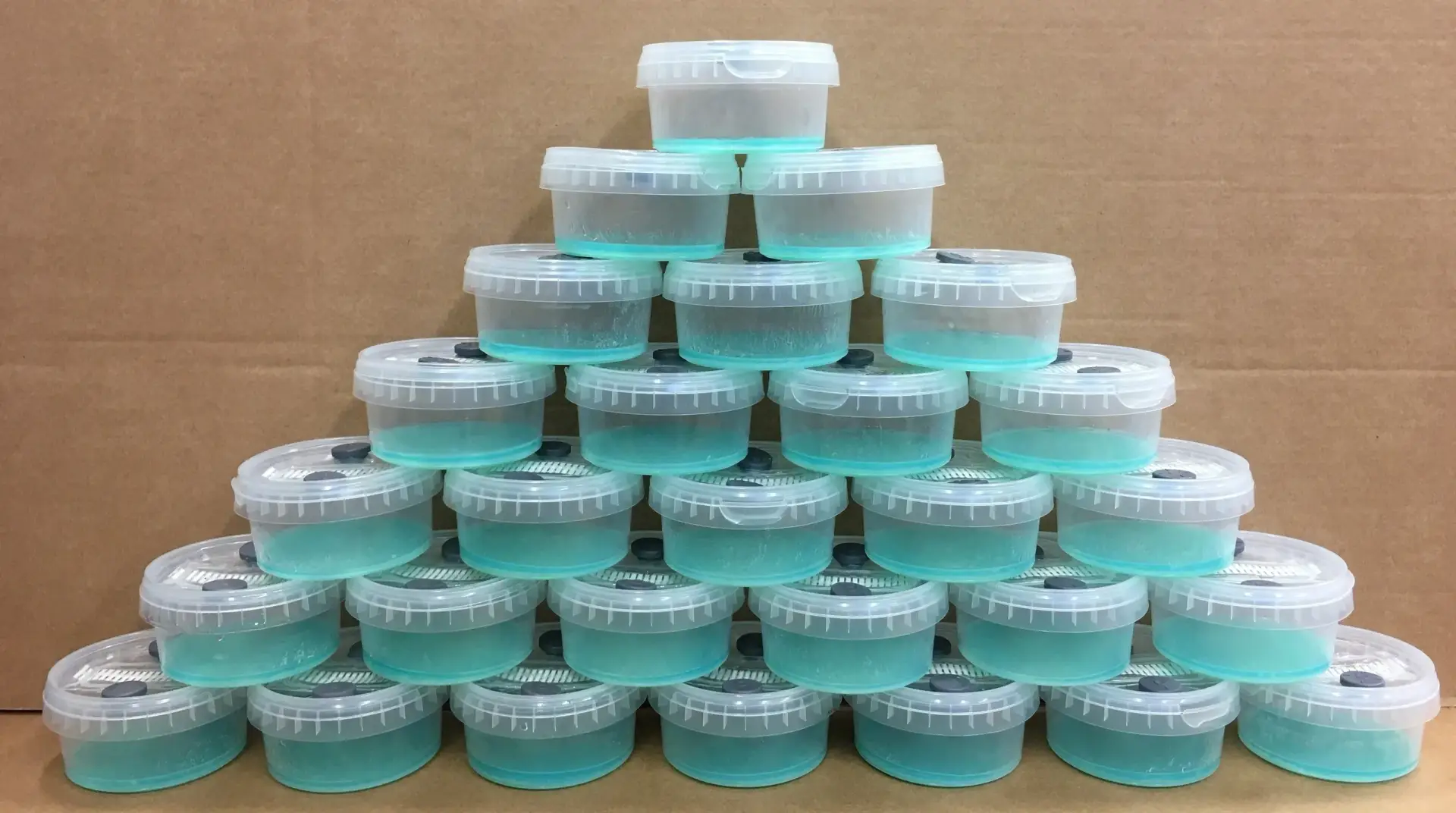 Reusable Open-Air Agar Pots for Mycology Reusable Open-Air Agar Pots for Mycology