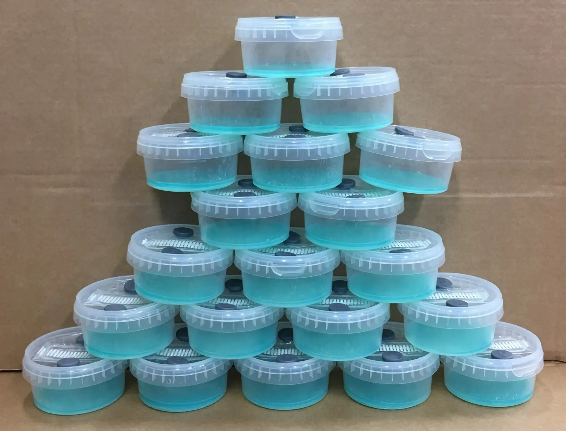 Open Air Agar Pots Open Air Agar Pots