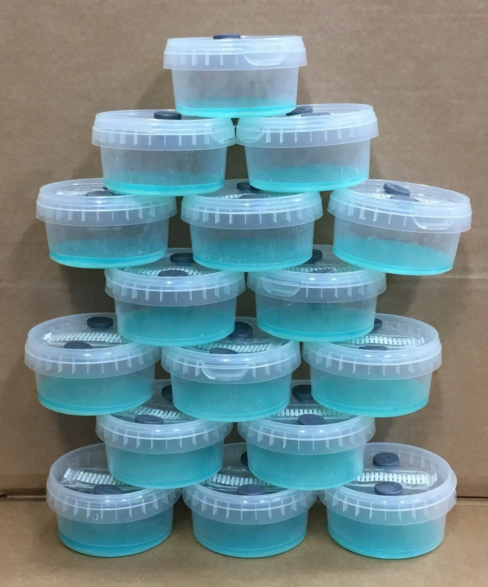 Open Air Agar Pots Open Air Agar Pots