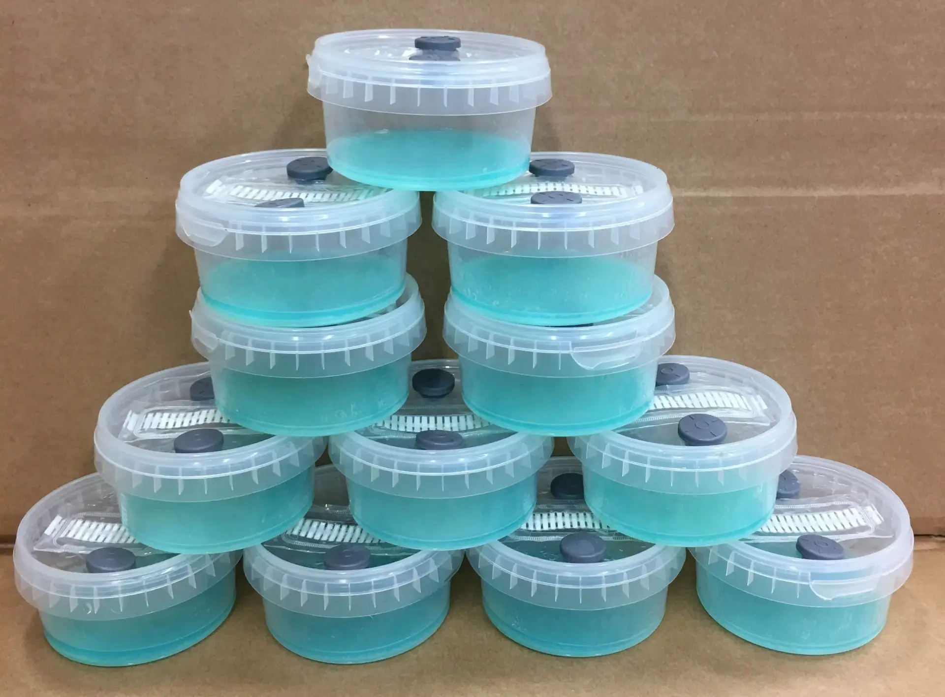 Open Air Agar Pots Open Air Agar Pots