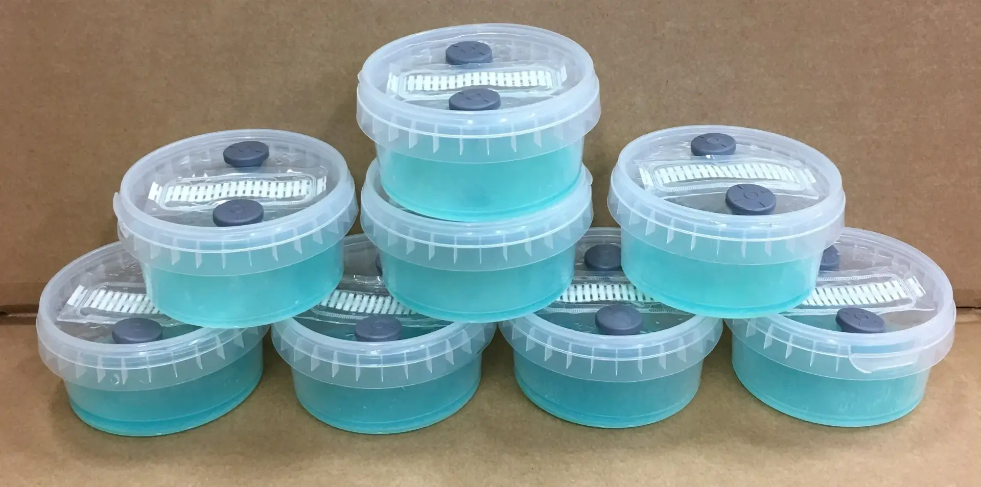 Open Air Agar Pots Open Air Agar Pots