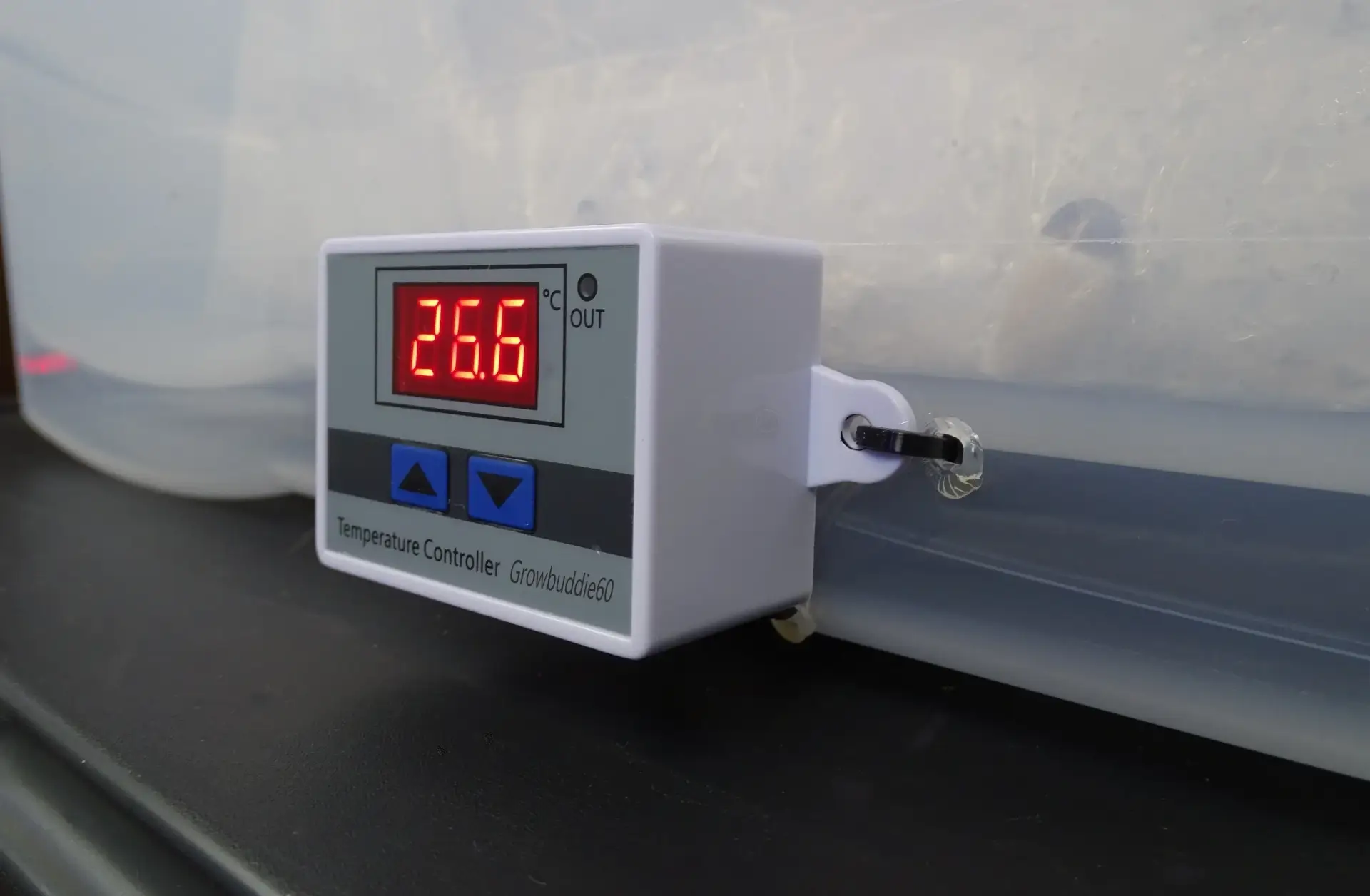 Digital mushroom incubation chamber (GrowBuddie60) Digital mushroom incubation chamber (GrowBuddie60)