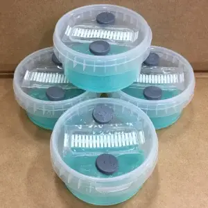 Open Air Agar Pots Open Air Agar Pots