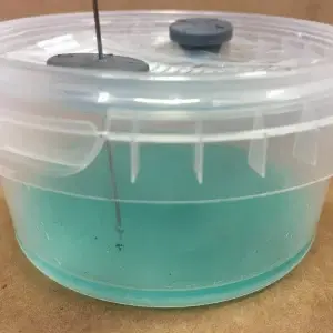 Open Air Agar Pots Open Air Agar Pots