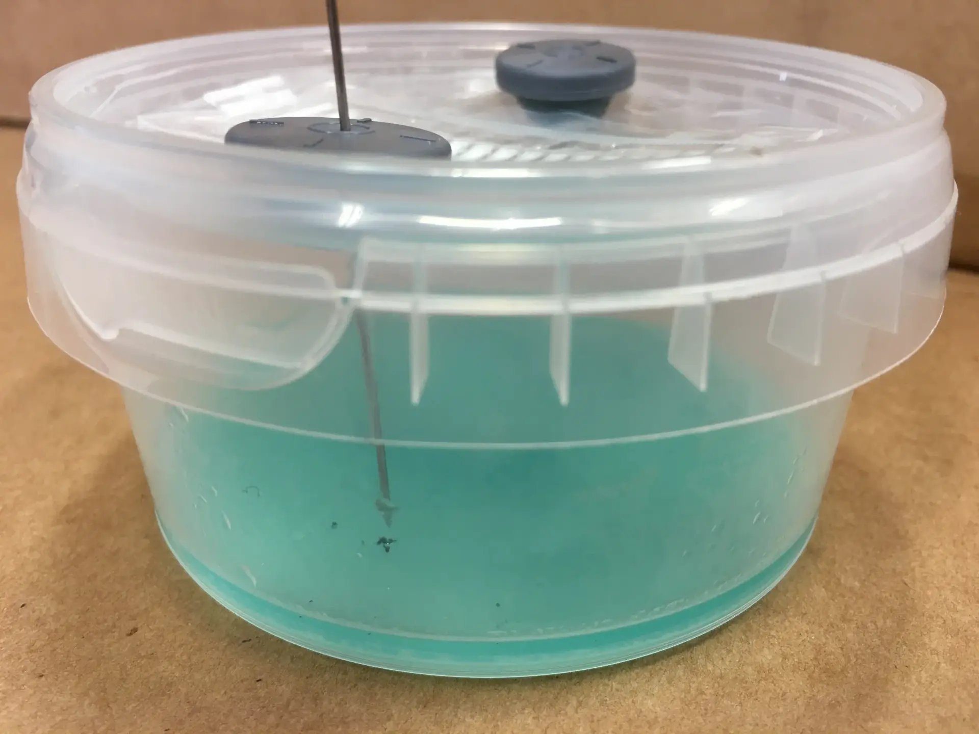 Open Air Agar Pots Open Air Agar Pots