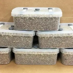 Simplici-kit Mushroom Grow Kit Simplici-kit Mushroom Grow Kit