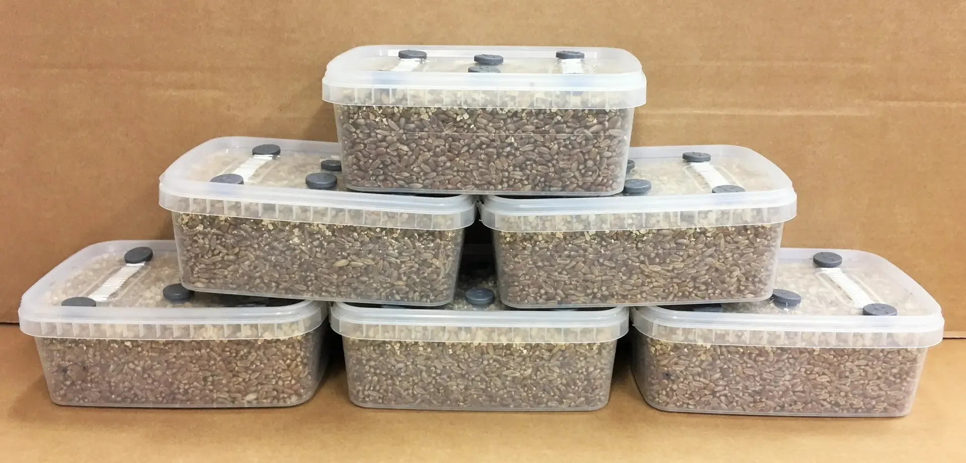 Simplici-kit Mushroom Grow Kit Simplici-kit Mushroom Grow Kit