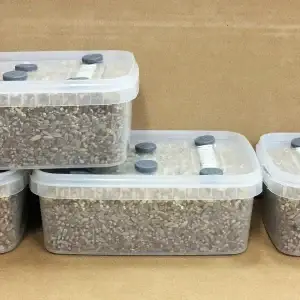 Simplici-kit Mushroom Grow Kit Simplici-kit Mushroom Grow Kit