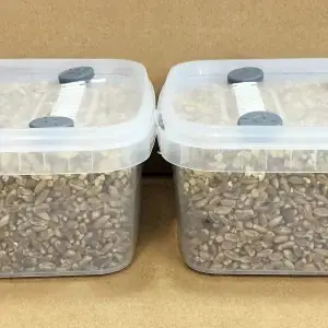 Simplici-kit Mushroom Grow Kit Simplici-kit Mushroom Grow Kit