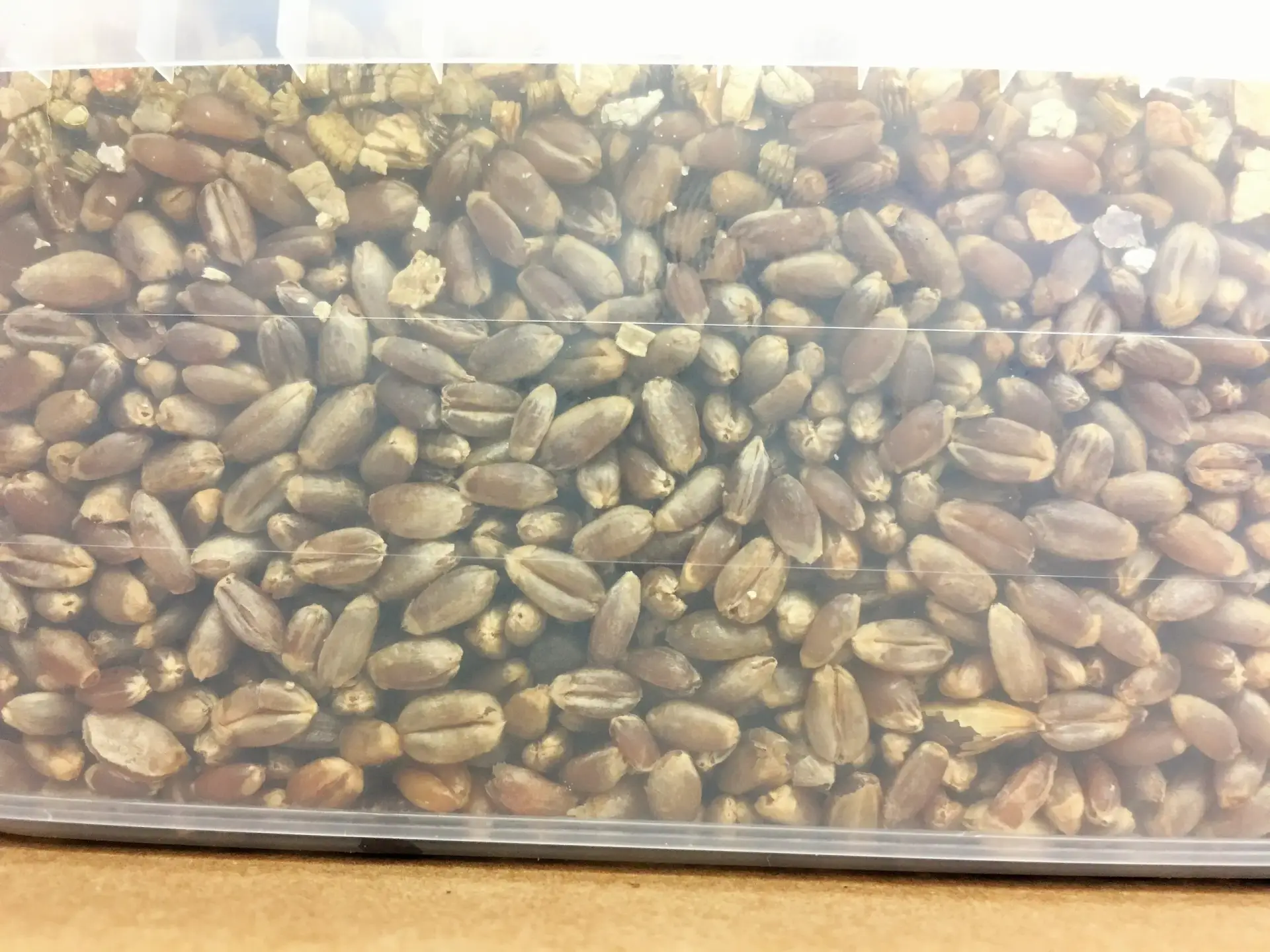 Simplici-kit Mushroom Grow Kit Simplici-kit Mushroom Grow Kit