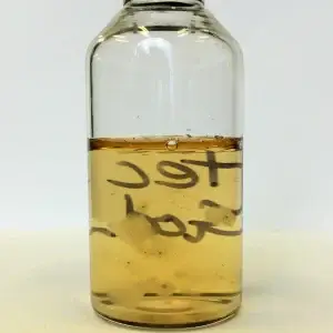 Liquid Culture Expander kit Liquid Culture Expander kit