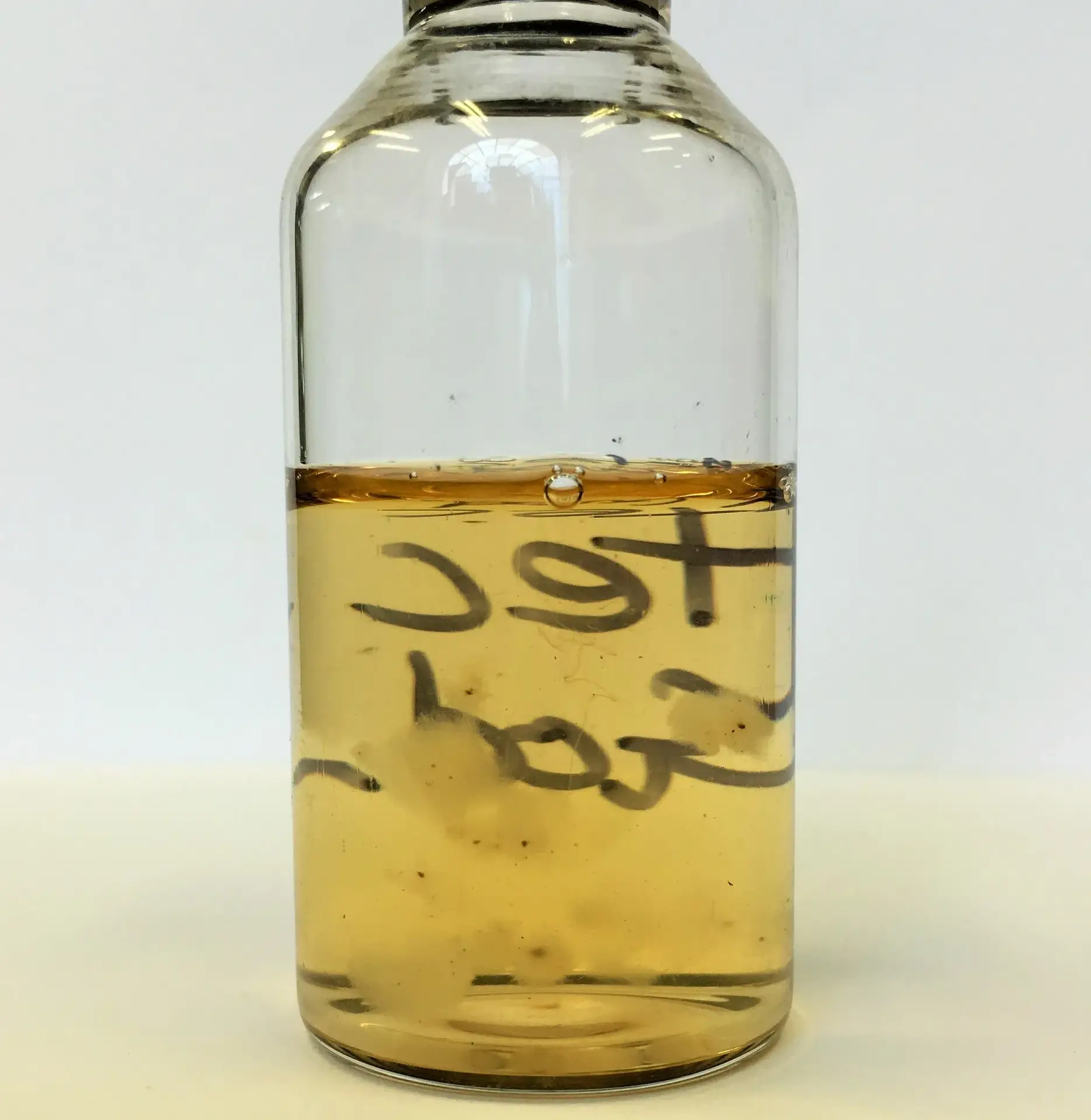 Liquid Culture Expander kit Liquid Culture Expander kit