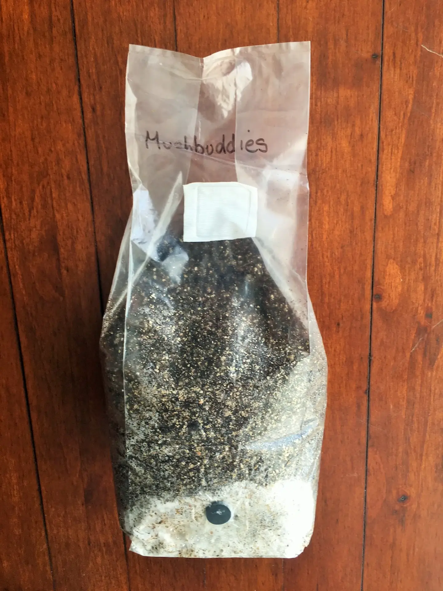 50/50 Injectable Horse Manure and BRF Mushroom Growing Kit. 4Lbs/1800g for any home. 50/50 Injectable Horse Manure and BRF Mushroom Growing Kit. 4Lbs/1800g for any home.