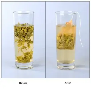 10x DIY empty mushroom teabags for making your own home brewed tea