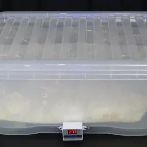 6sitback-0001 6sitback-0001