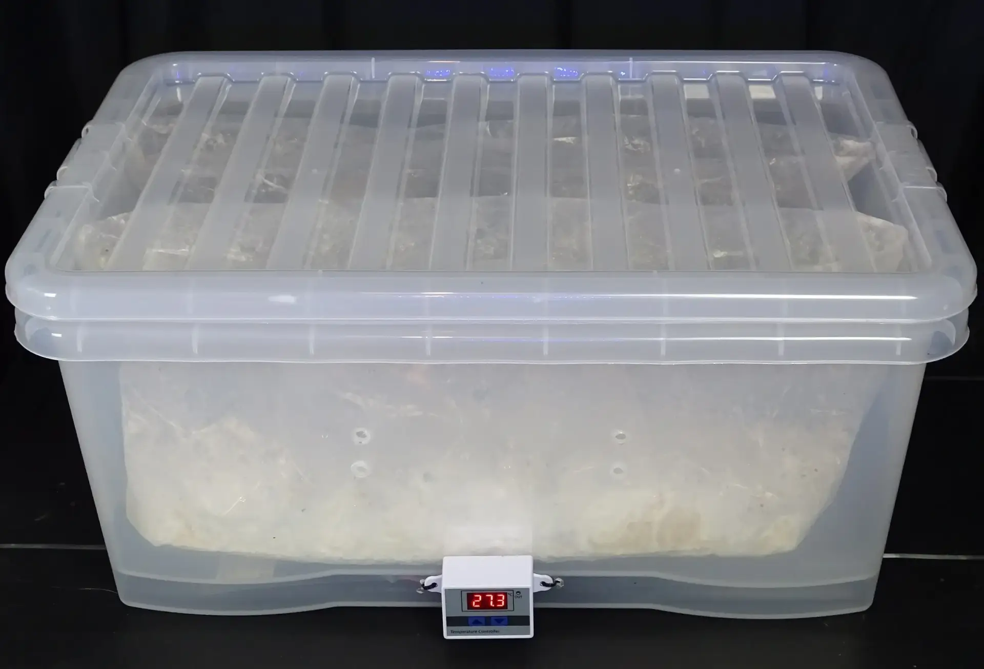 6sitback-0001 6sitback-0001