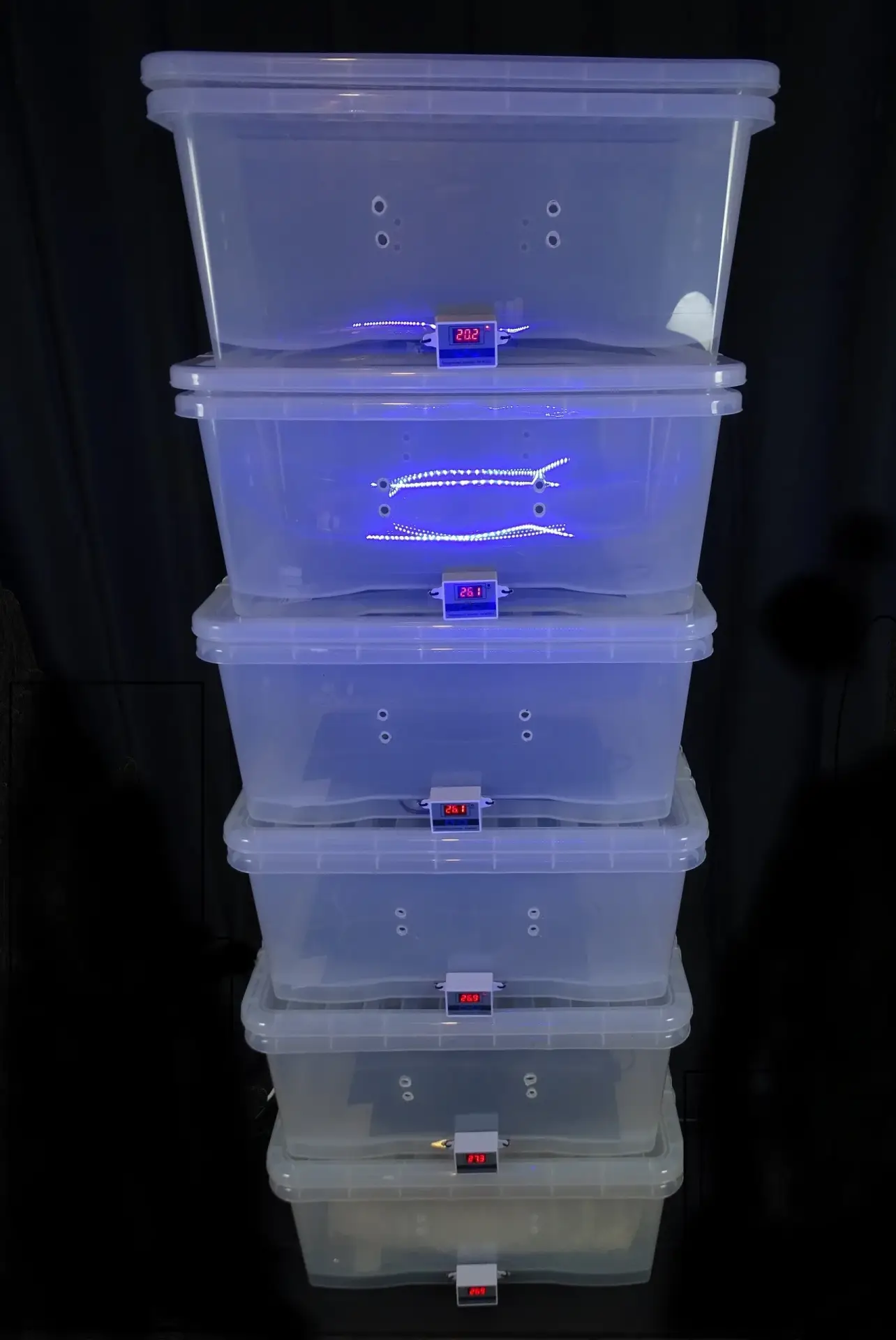 Digital mushroom incubation chamber (GrowBuddie60) Digital mushroom incubation chamber (GrowBuddie60)