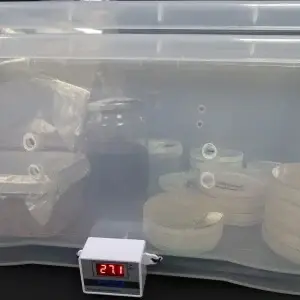 9whatcanido-0001 9whatcanido-0001