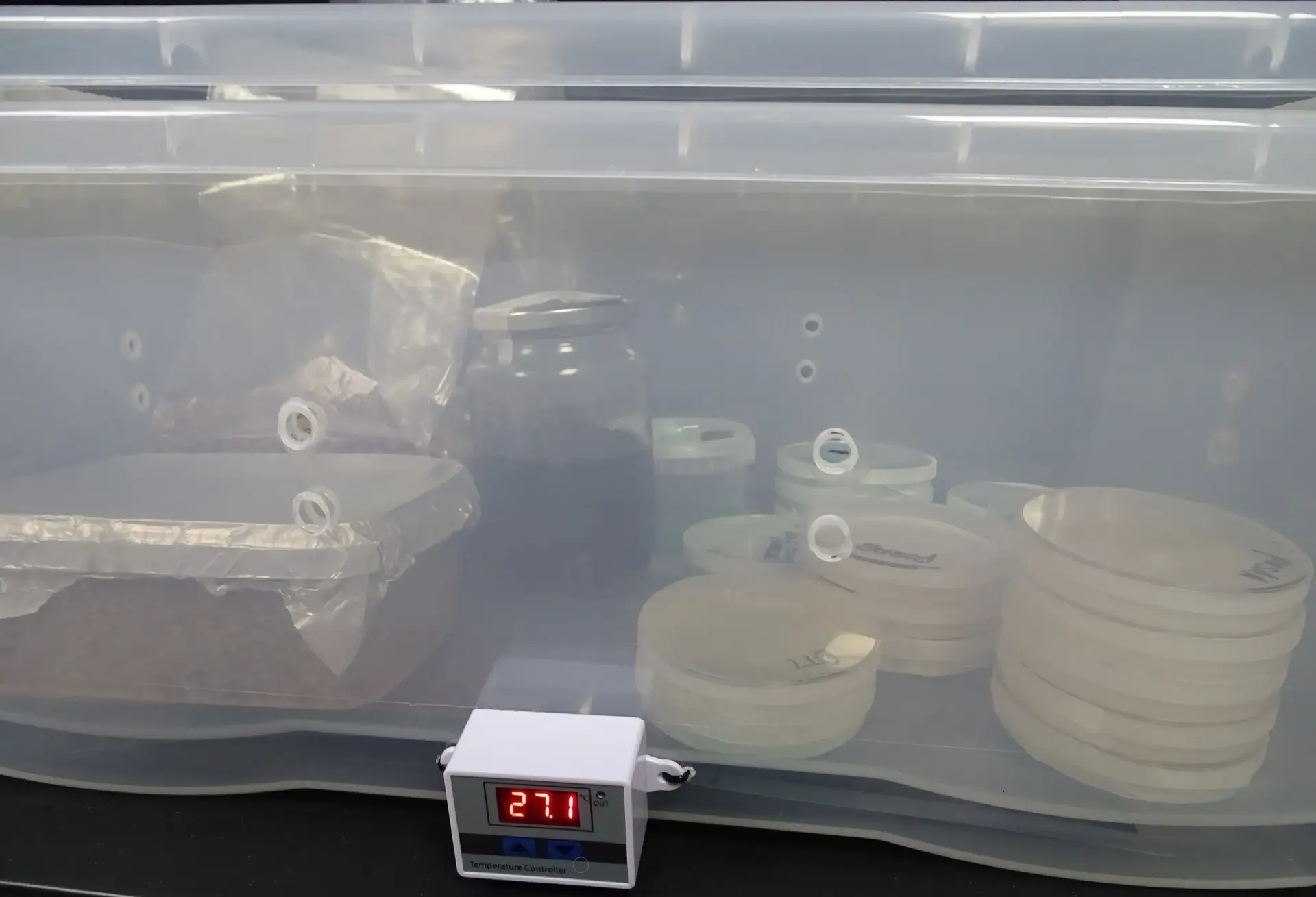 9whatcanido-0001 9whatcanido-0001