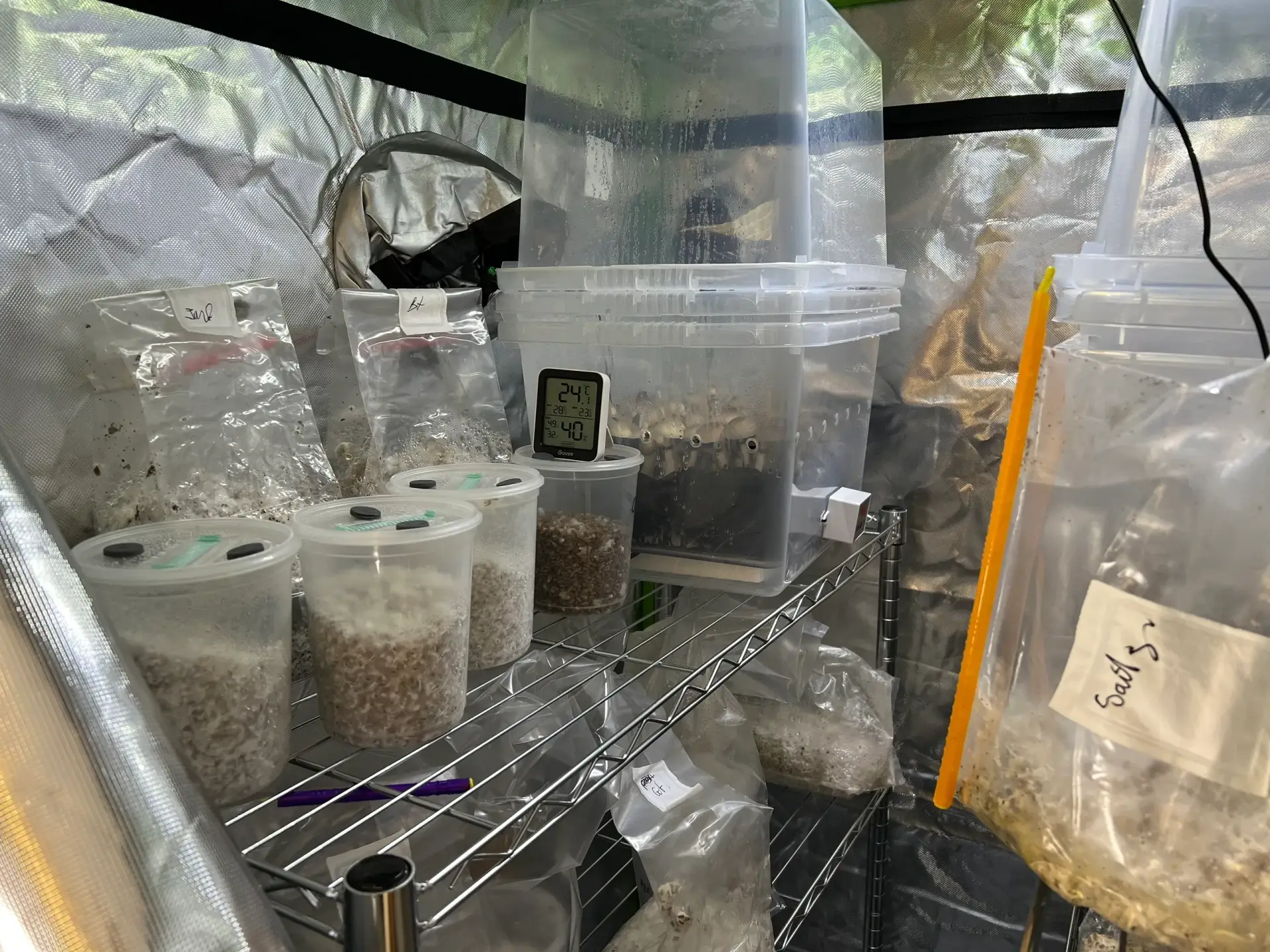 Mushroom Grow Tent kit