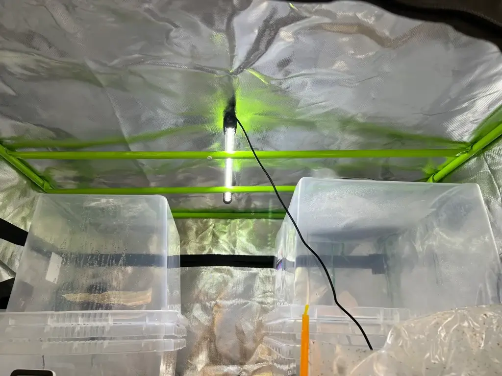 Mushroom Grow Tent kit with mushroom grow light