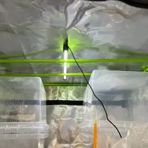 Mushroom Grow Tent kit