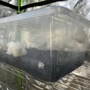 MonoTub45L Kit. MonoTub45L Kit.