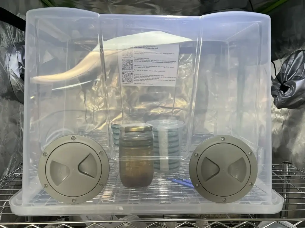 MycoSAB-Still Air Box with a touch of class