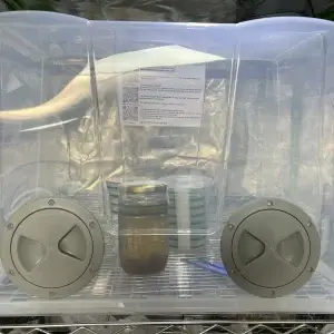 MycoSAB-Still Air Box with a touch of class