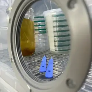 MycoSAB-Still Air Box with a touch of class MycoSAB-Still Air Box with a touch of class