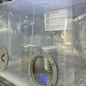 MycoSAB-Still Air Box with a touch of class MycoSAB-Still Air Box with a touch of class