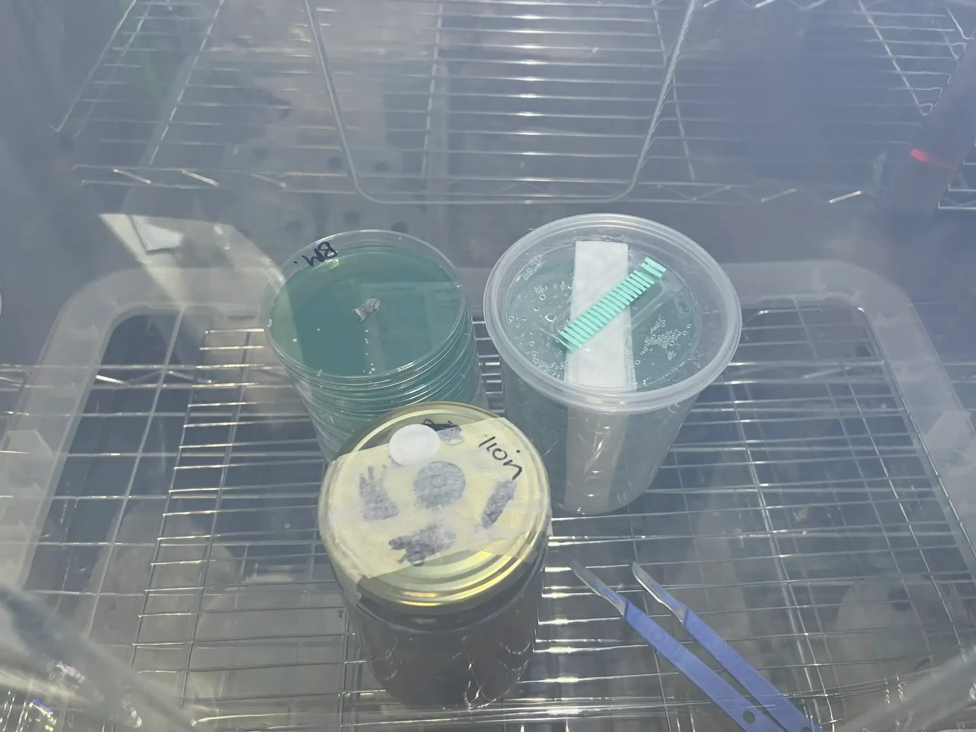 MycoSAB-Still Air Box with a touch of class MycoSAB-Still Air Box with a touch of class