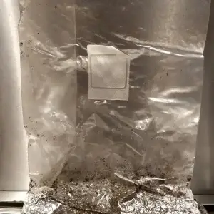 Mushroom Grow Bags -Injection Port Mushroom Grow Bags -Injection Port