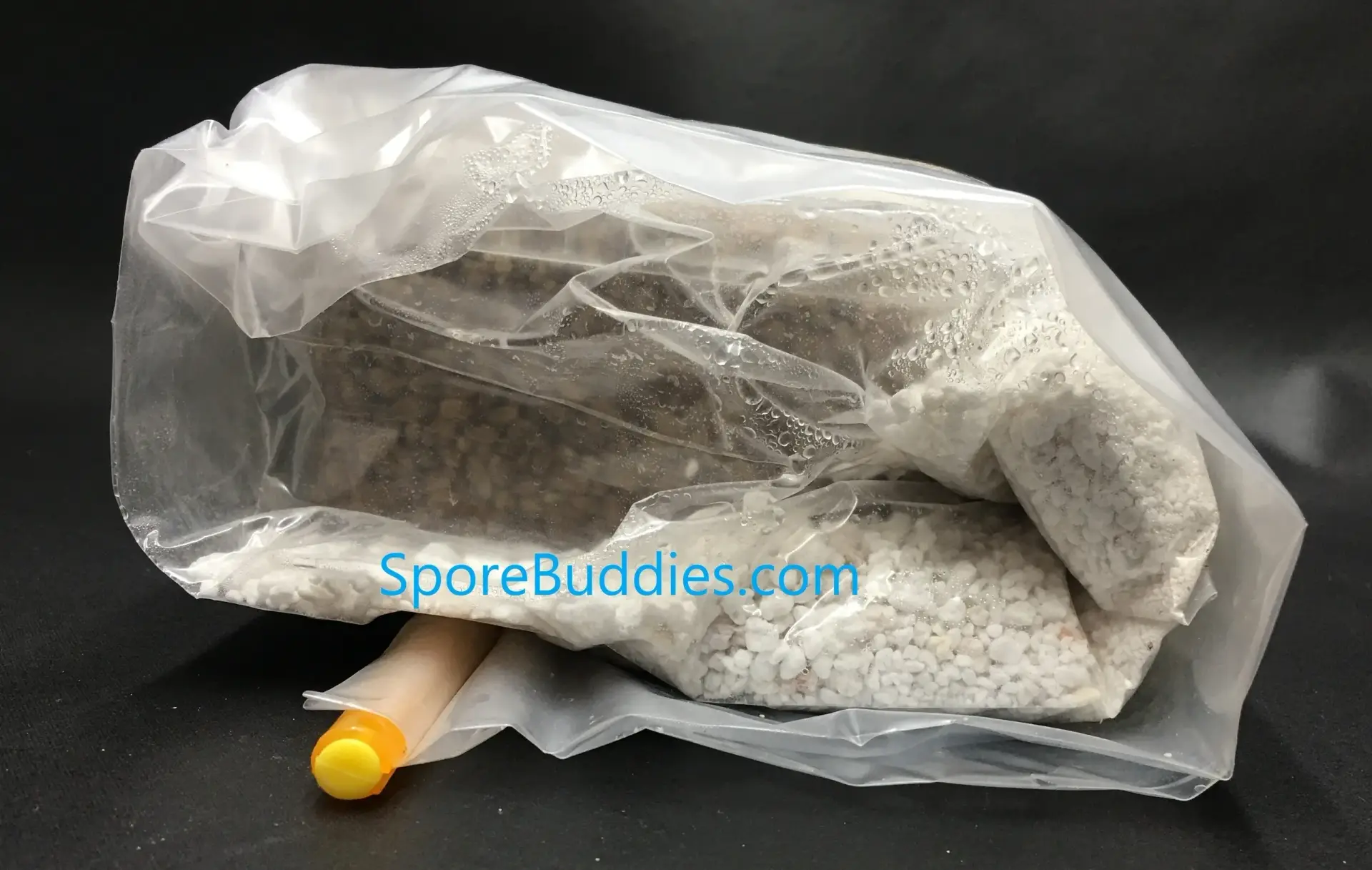 Simplici-kit Mushroom Grow Kit Simplici-kit Mushroom Grow Kit