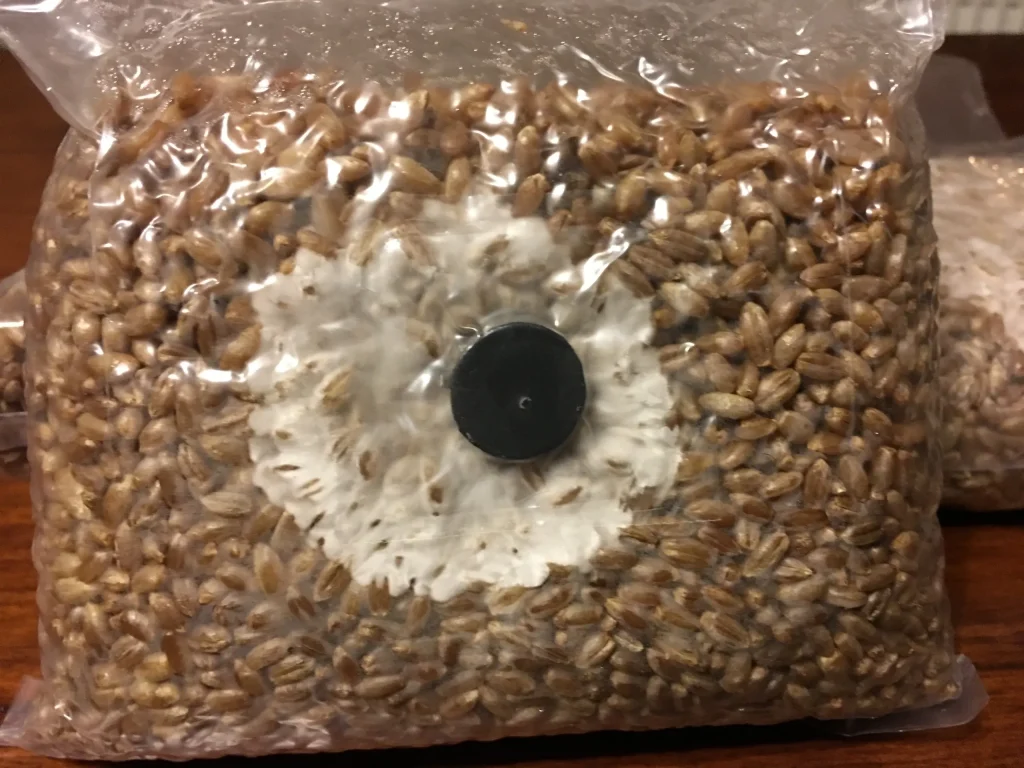1kg rye grain bag