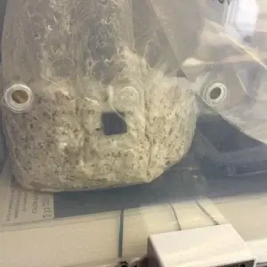 Digital Mushroom Incubator Box (GrowBuddie40) Digital Mushroom Incubator Box (GrowBuddie40)