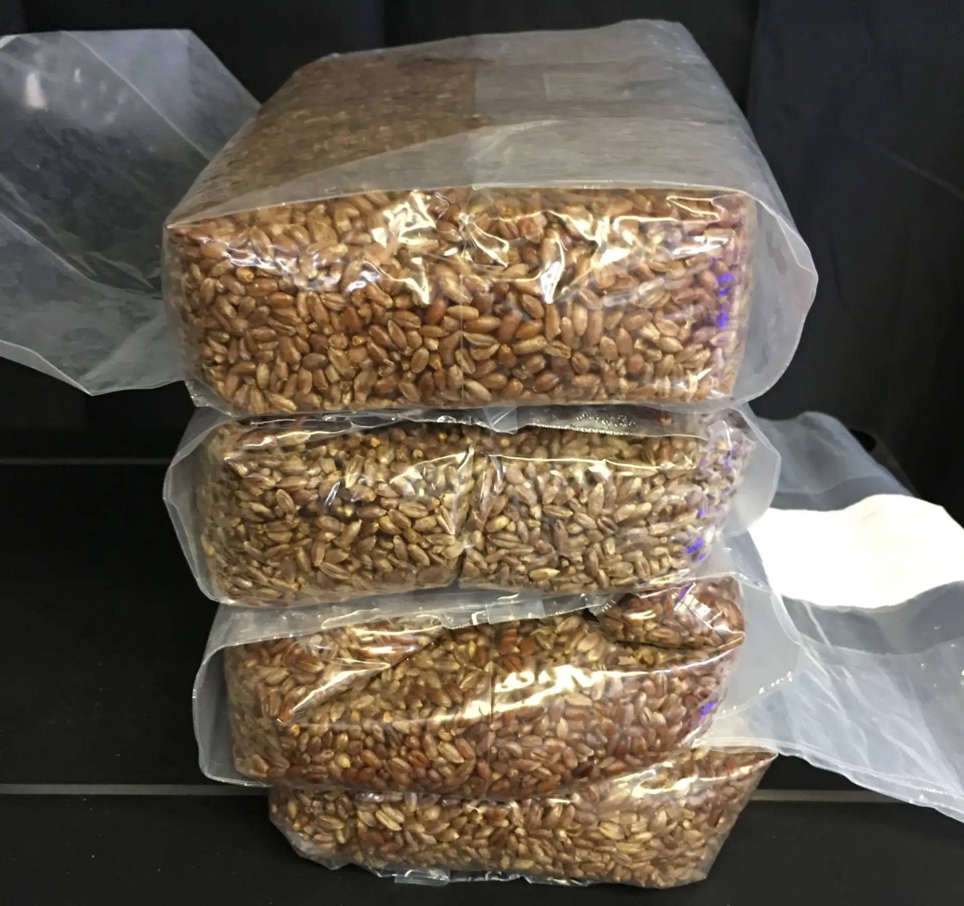 Sterilised Rye Grain Bags UK 1.5kg – Best Rye Grain for Monotubs and Spawn Sterilised Rye Grain Bags UK 1.5kg – Best Rye Grain for Monotubs and Spawn