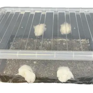 MonoTub45L full MonoTub45L full